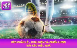 kèo chẵn lẻ